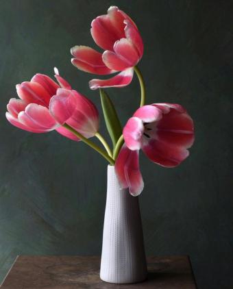 Миниатюра: Букет тюльпанов в белой вазе