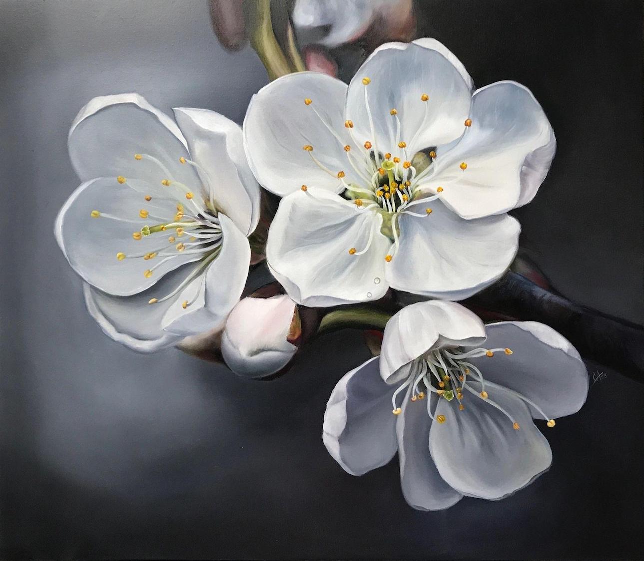 Картина: Белые цветы яблони. Изображение №1