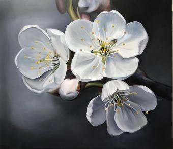 Лот №356 Картина: Белые цветы яблони