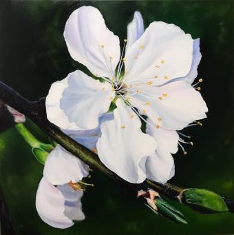 Лот №357 Картина: Большой белый цветок яблони